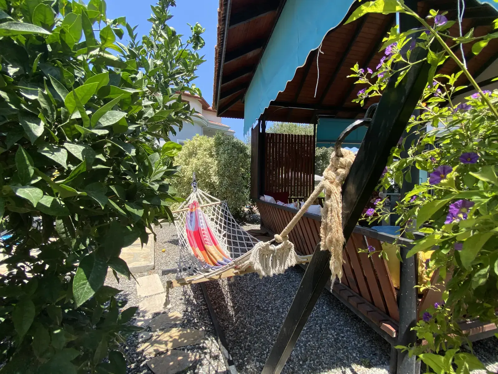 Oasis 281