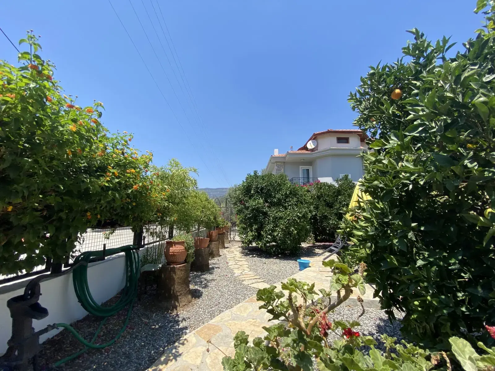 Oasis 301
