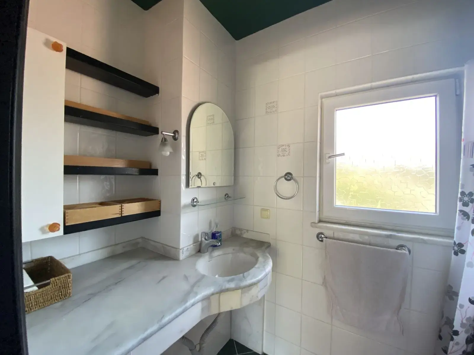 Oasis 441
