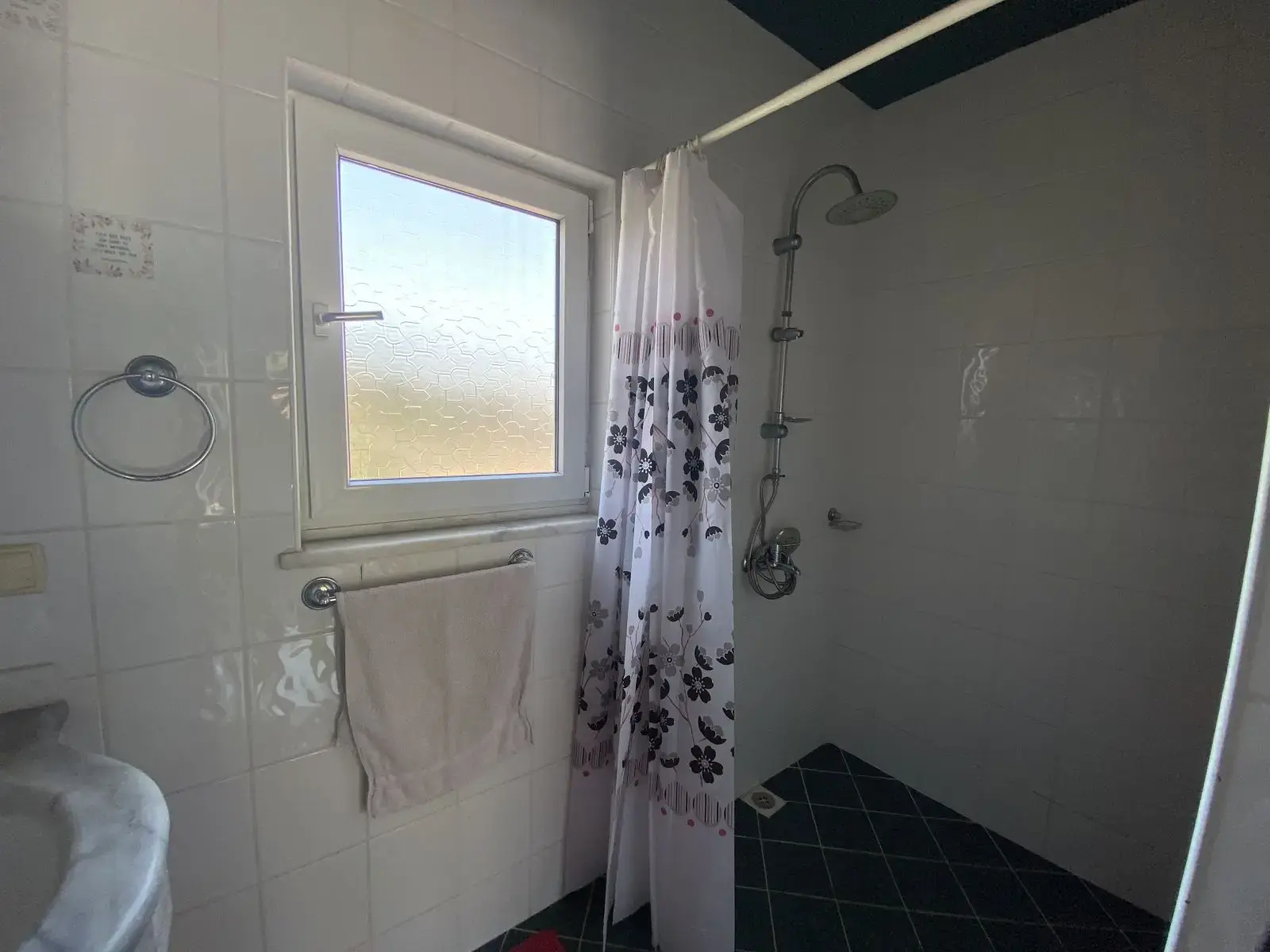 Oasis 461