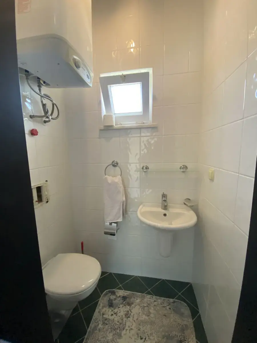 Oasis 531