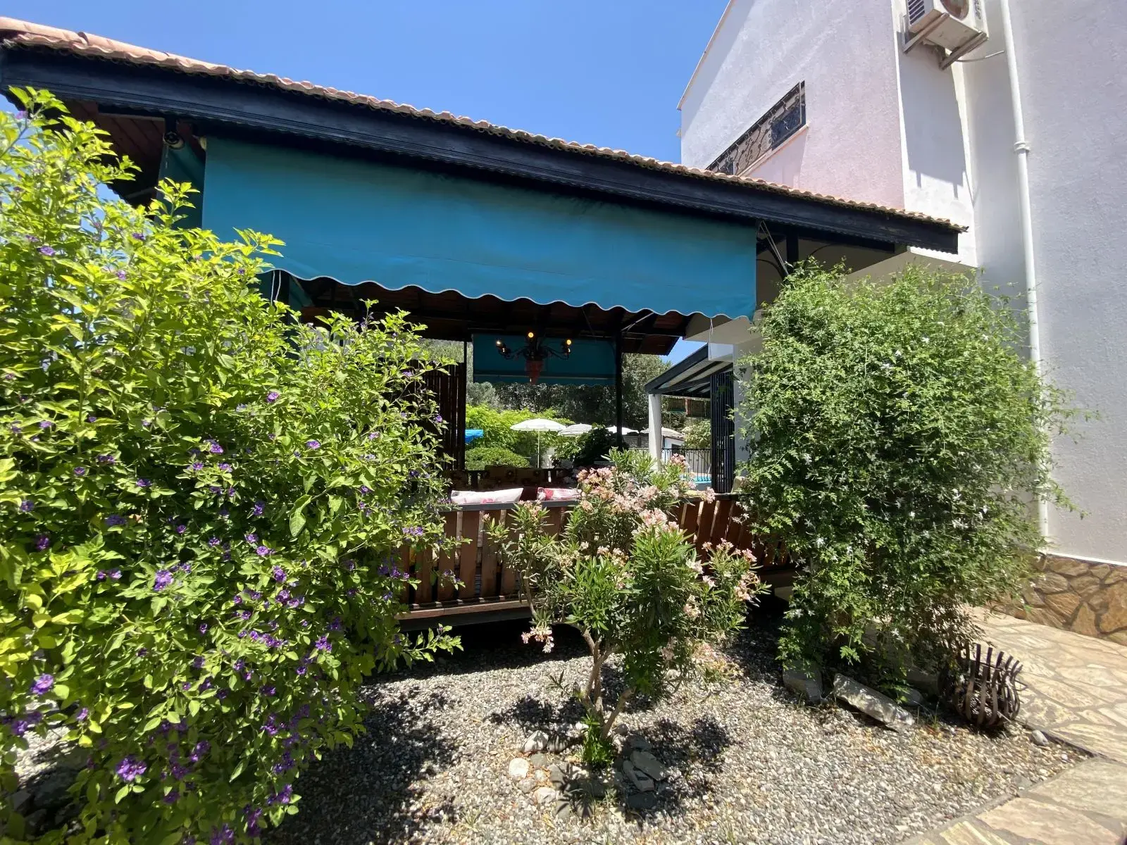 Oasis 661